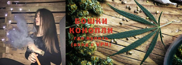 альфа пвп Медногорск