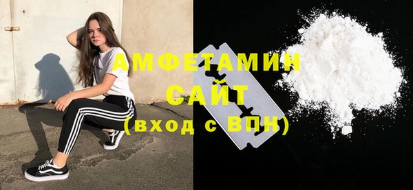 молекула духа Мегион